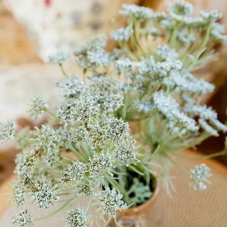 Ferienhaus Timber House With Sauna And Activity